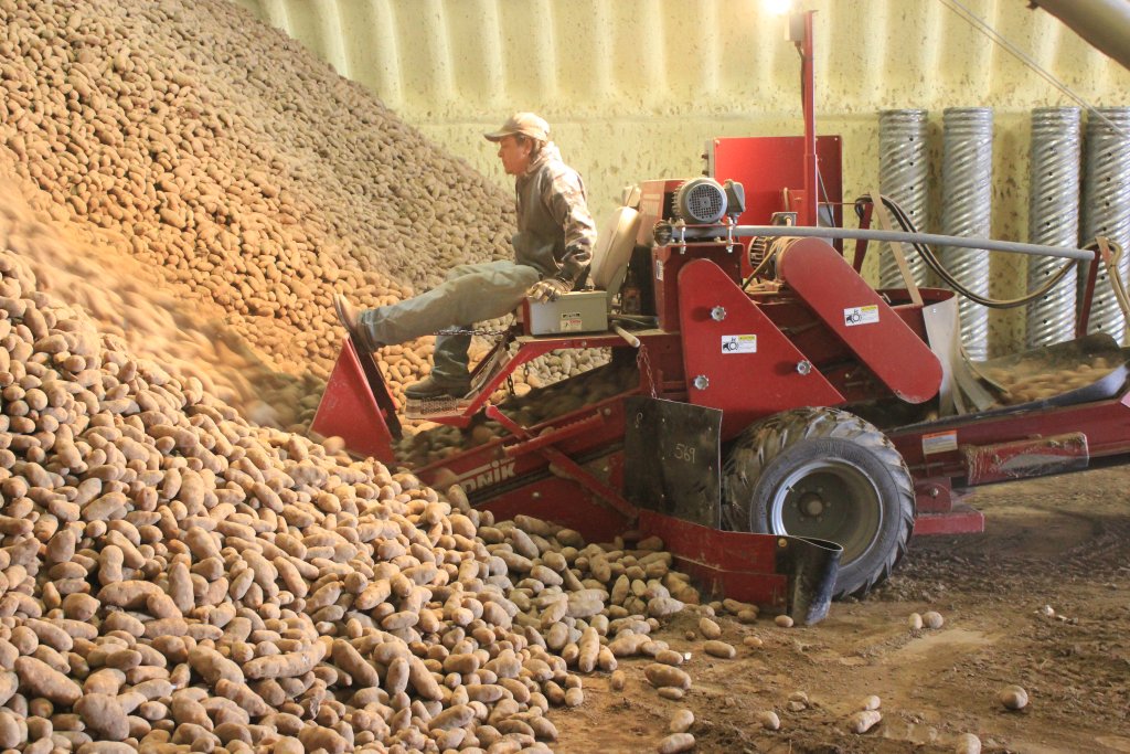 SPUDNIK 150 Scooper (7)