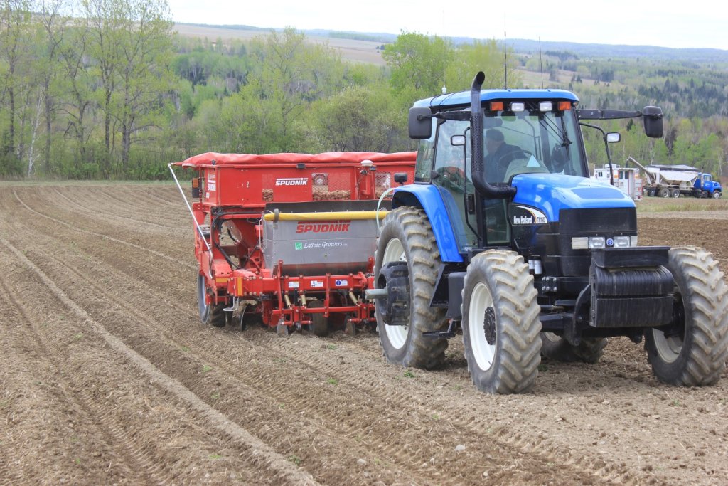 SPUDNIK_8040 (4)