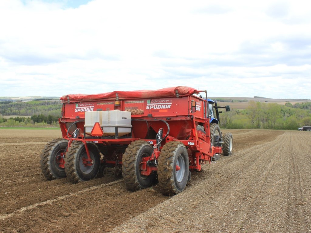 SPUDNIK_8040 (3)