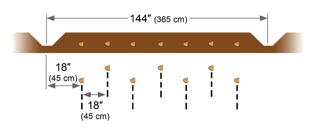 SPUDNIK-8047 Bed