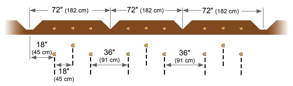 SPUDNIK-8069 Bed