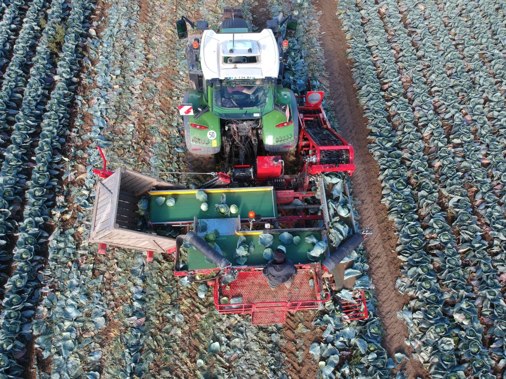 2022-10-21 DJI_0321 (6)