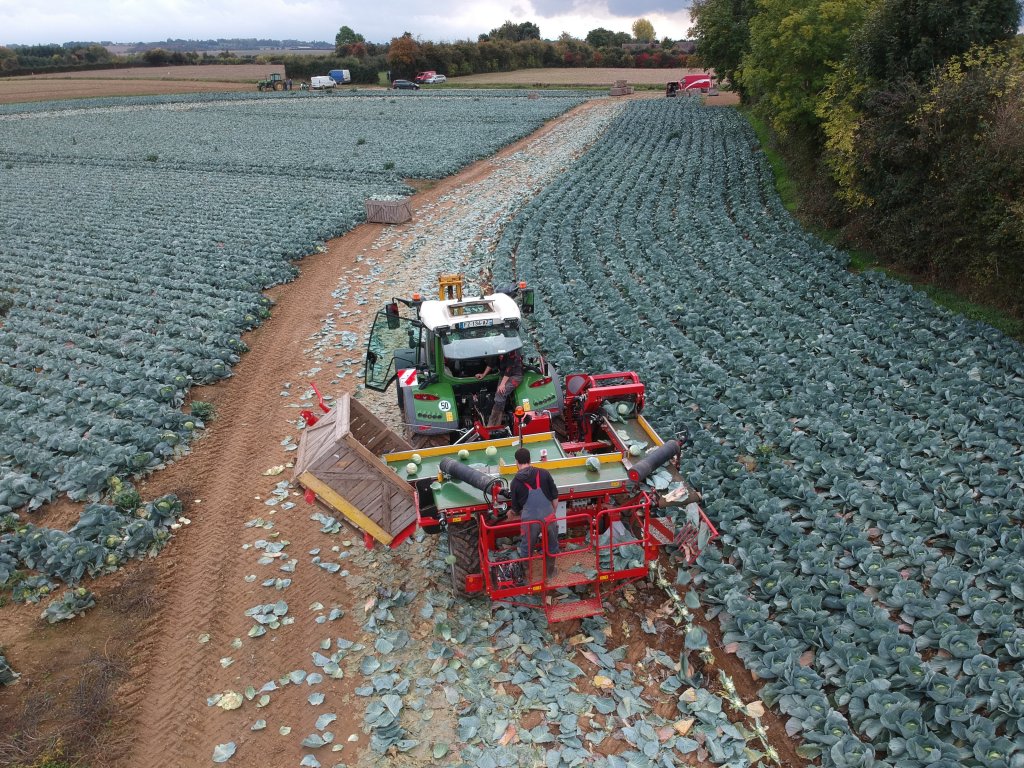 2022-10-14 DJI_0314 (1)
