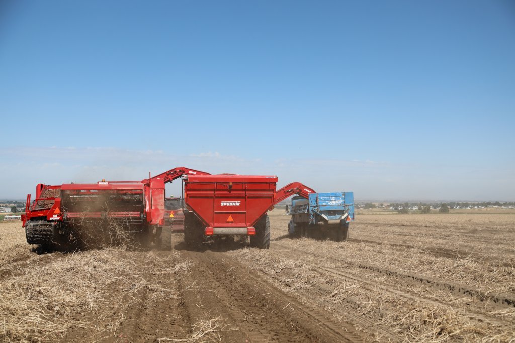 SPUDNIK_6740 (4)