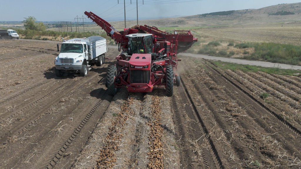 SPUDNIK_7040-09