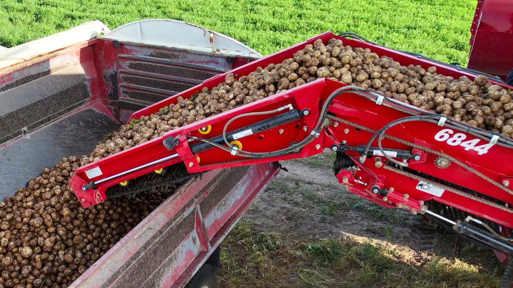 SPUDNIK_6844-17