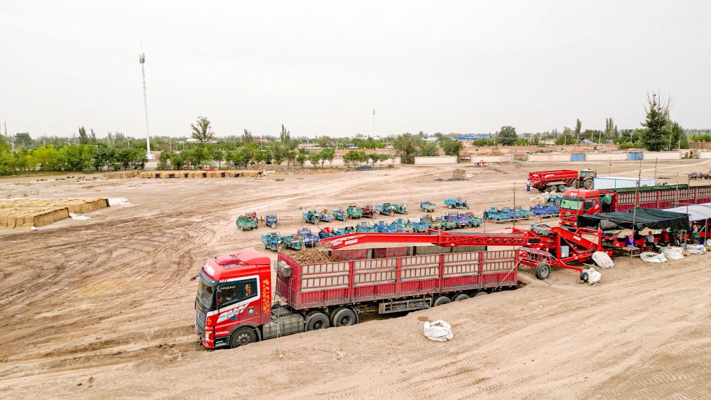 480 Piler_China version_in the field (6)