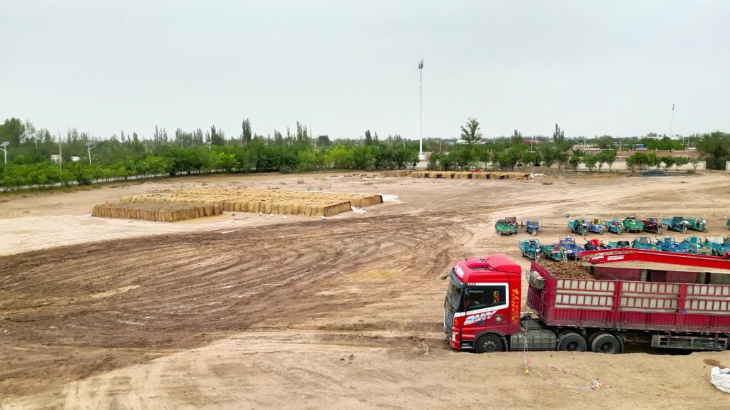 480 Piler_China version