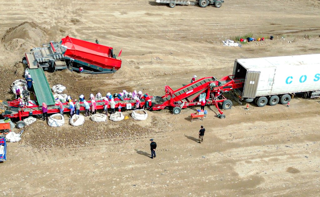 480 Piler_China version_in the field (5)